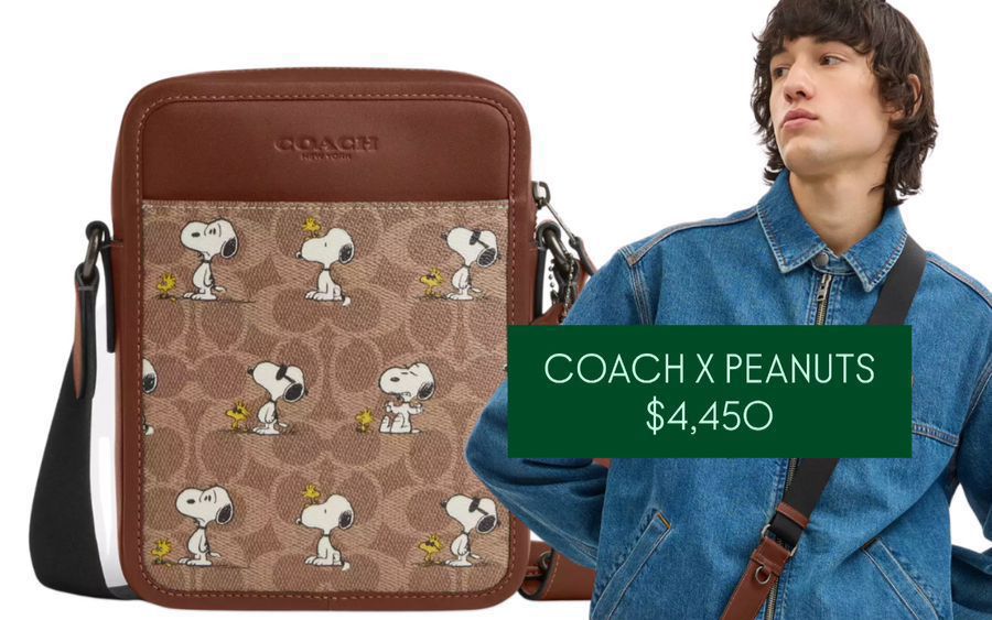 Riñonera coach x peanuts
