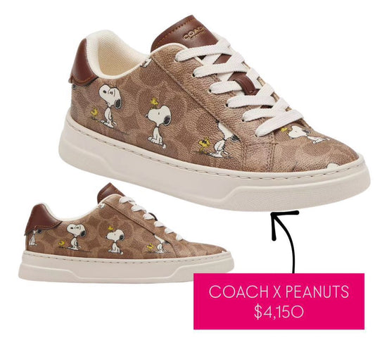 Tenis coach