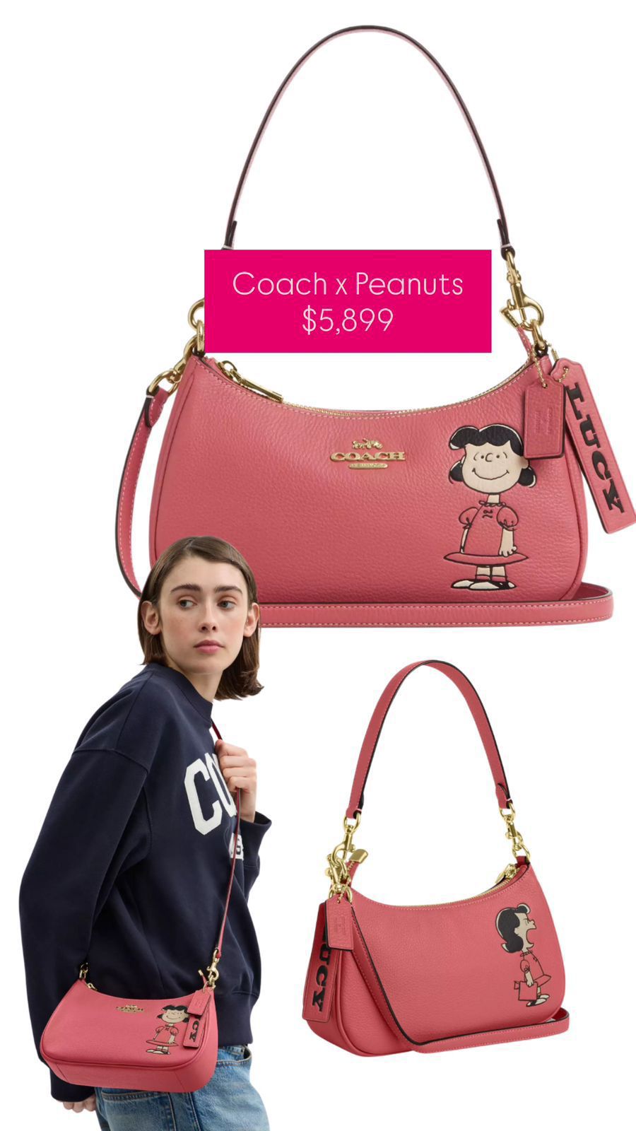 Bolsa coach x peanuts