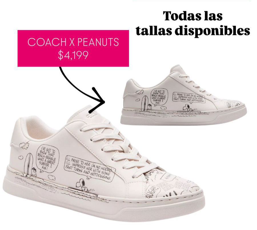 Tenis coach