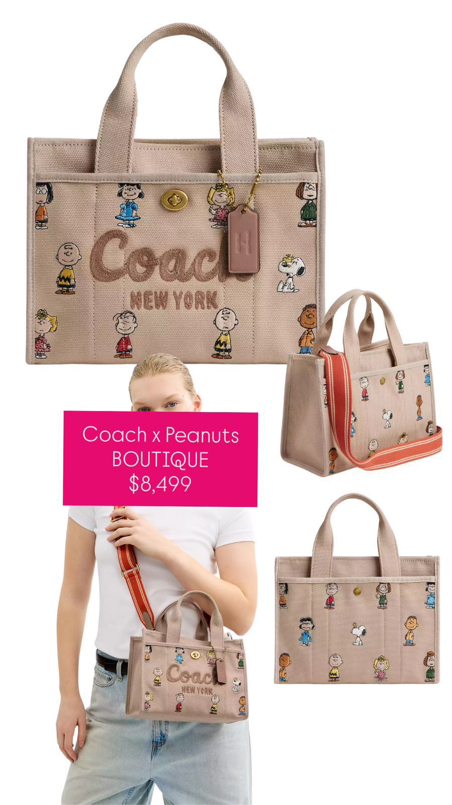 Bolsa coach x peanuts