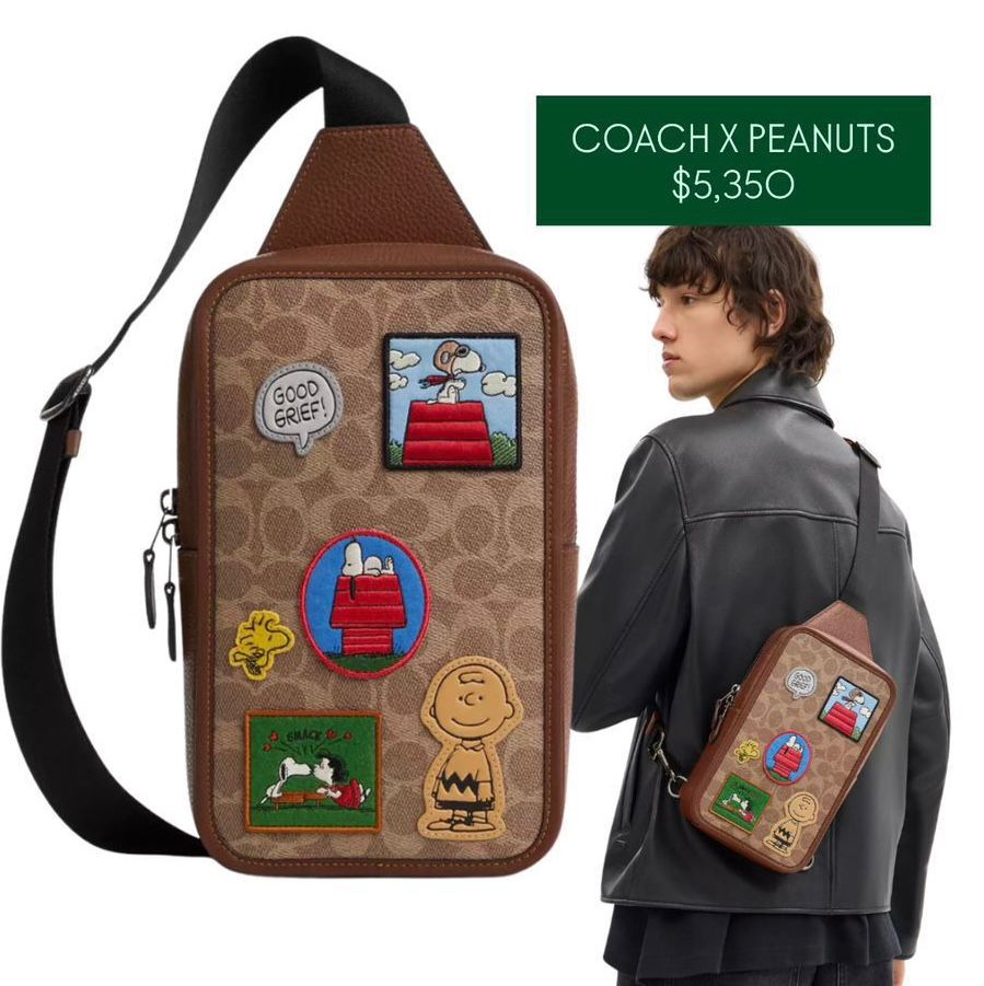 Cartera coach x peanuts