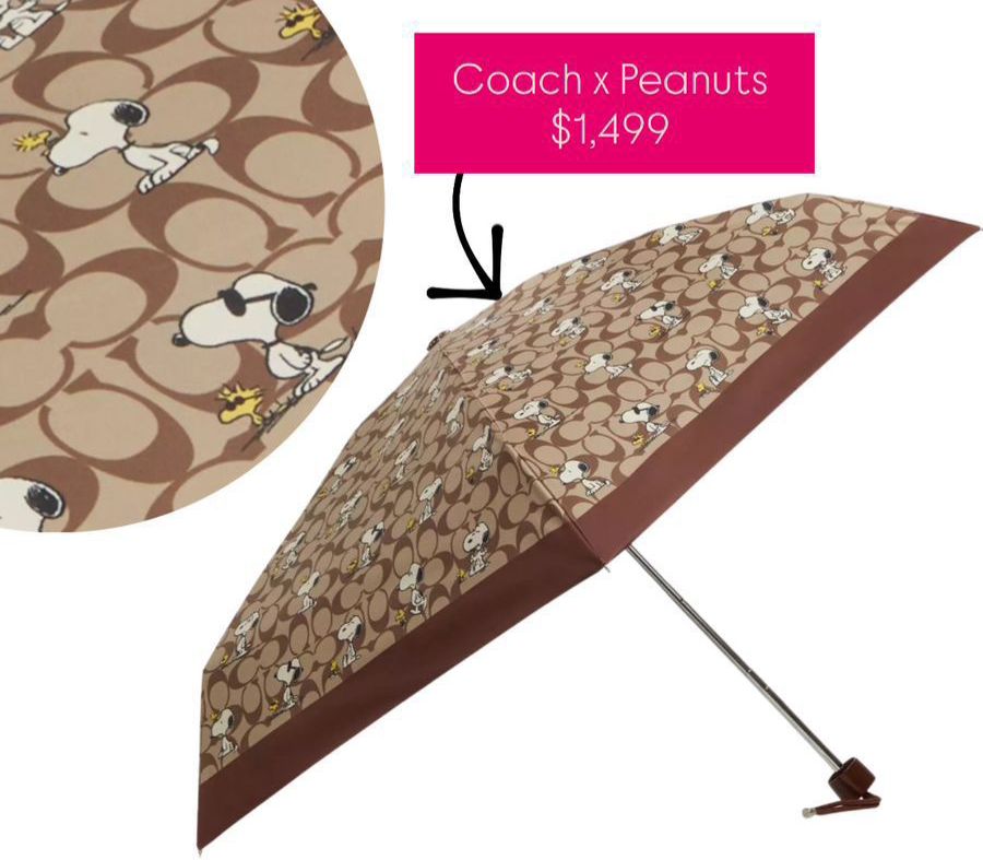 Paraguas coach x peanuts