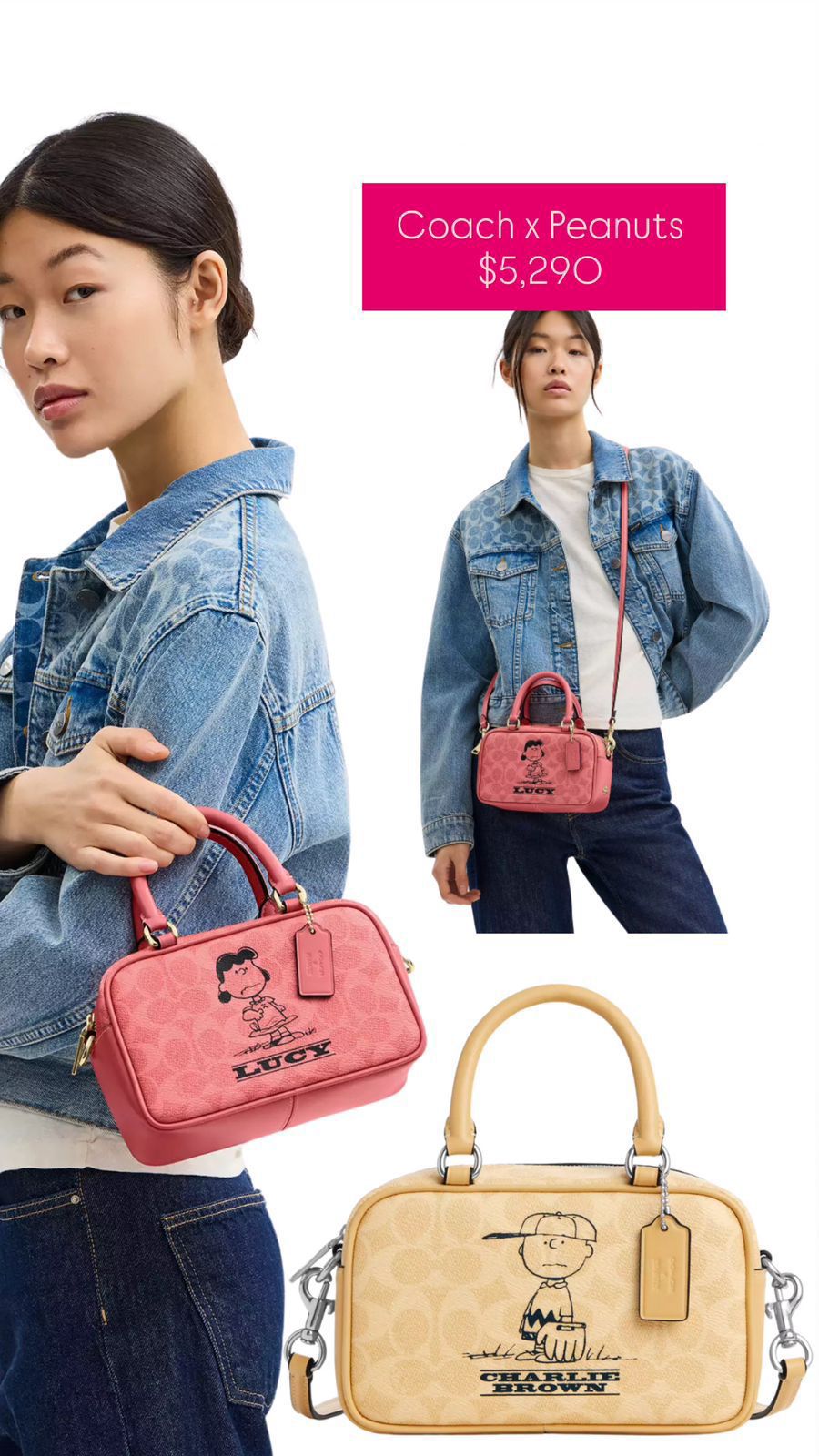 Bolsa coach x peanuts