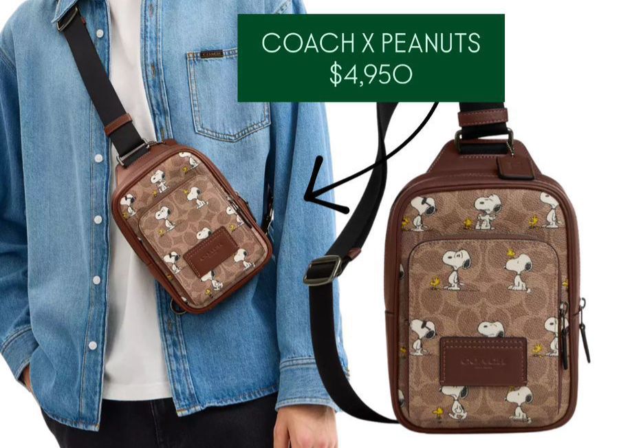Riñonera coach x peanuts