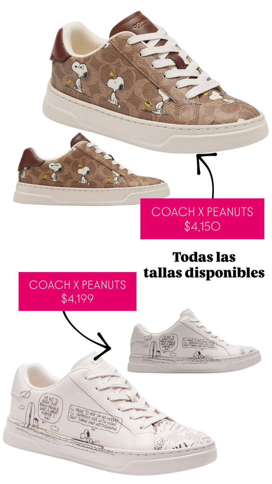 Tenis coach