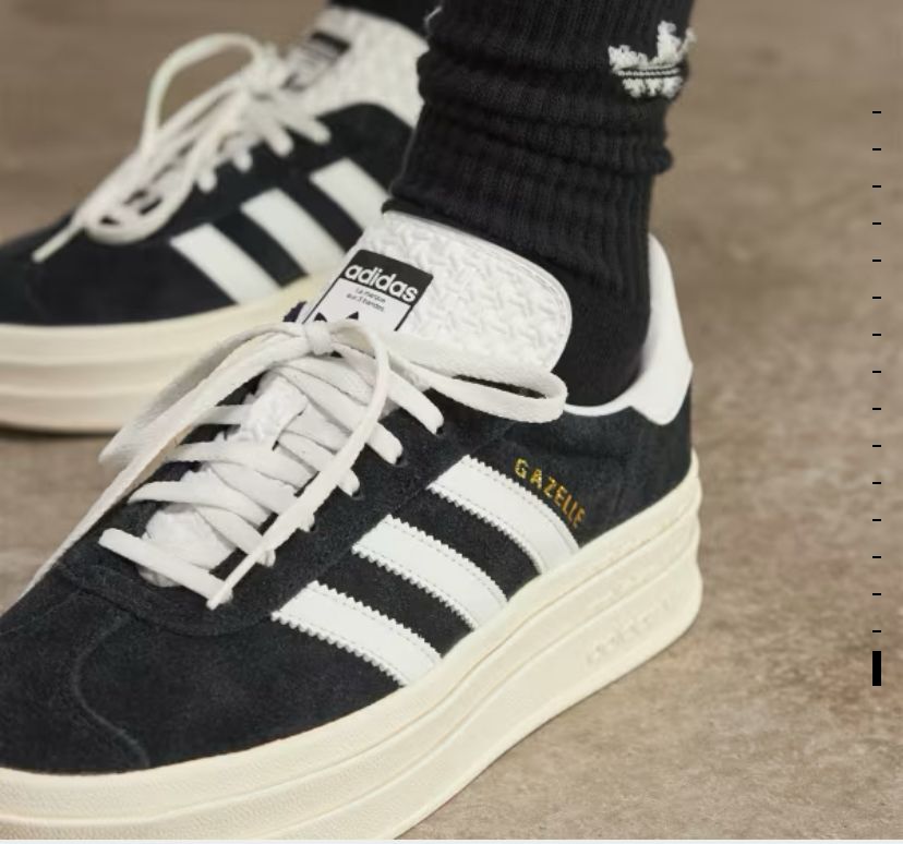 Gazelle Bold