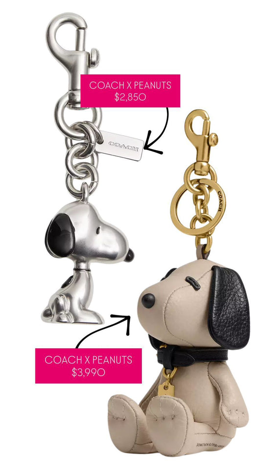 llavero coach