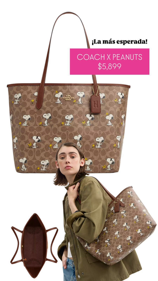 Bolsa coach