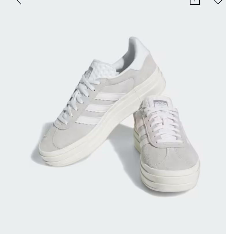Gazelle Bold