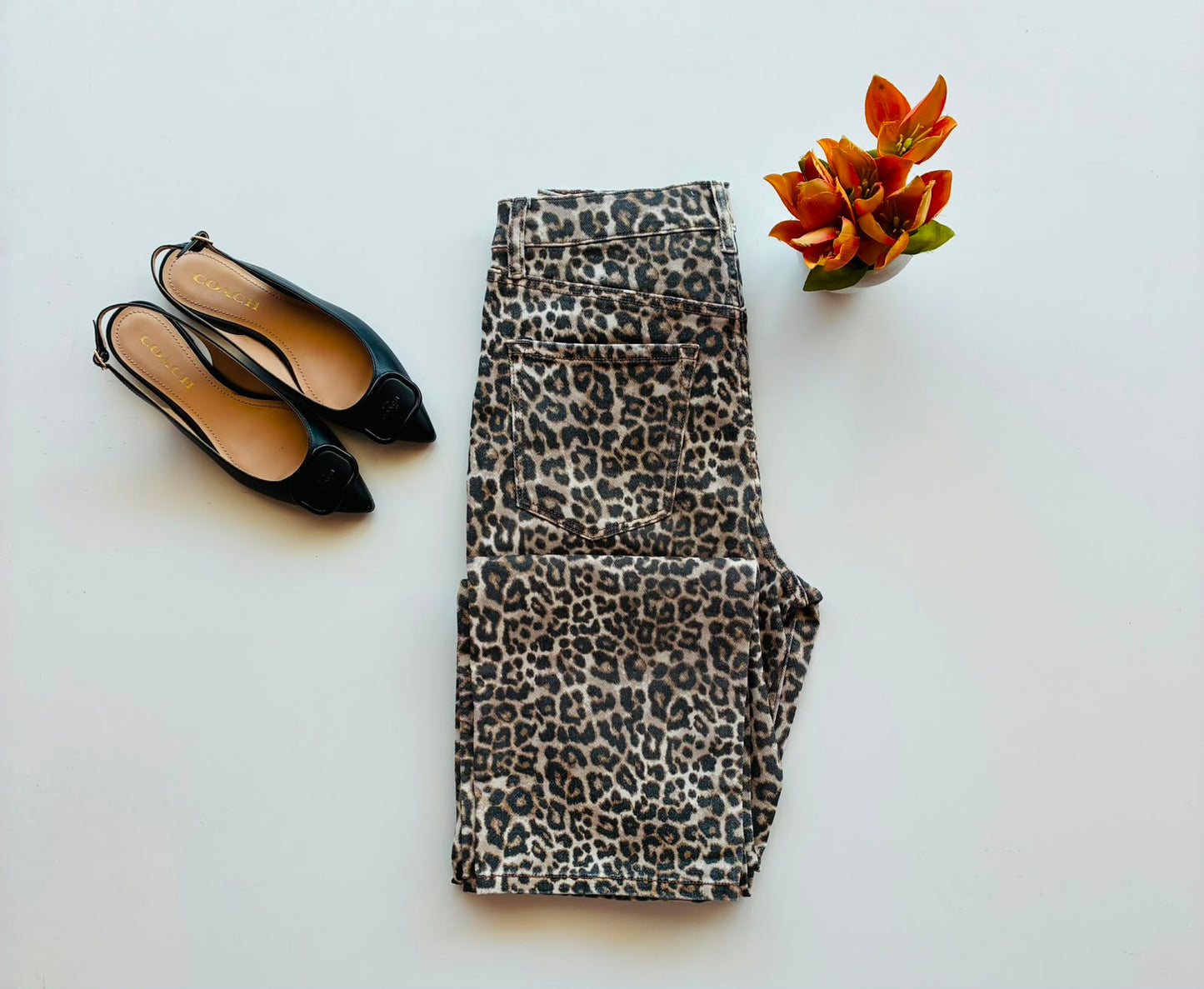 Cello Jeans Jeans altos estampado de animal print AM19758RS