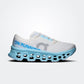 On cloudmonster 3